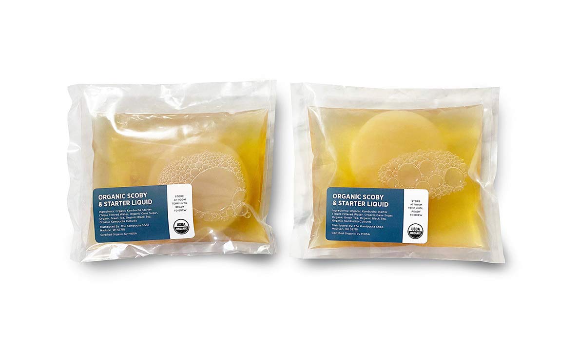Organic Scoby 2-Pack | Kombucha Starter Kit With Live Culture For Brewing Kombucha Tea - Urban Kitchen