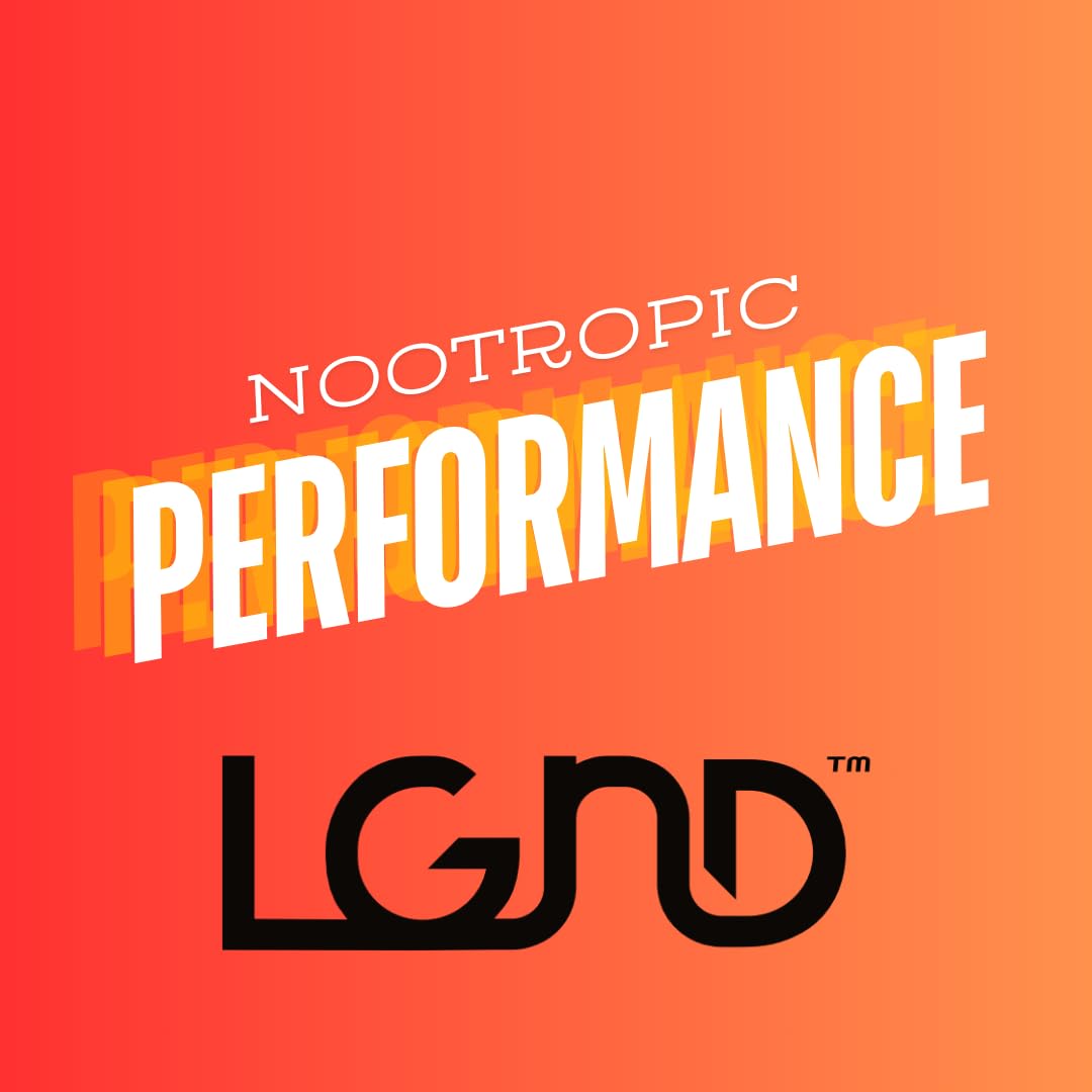 LGND Smart Energy Drink, Nootropic + Prebiotic, Spicy Ginger Flavor, 12 Fl Oz (Pack of 12), Black/Gold
