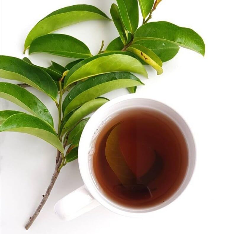 B-Experts Soursop Leaves Tea – 100% Natural, Vegan, Non-GMO – Jumbo 4 oz – Caffeine-Free Herbal Tea – Makes 30+ Cups