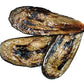 Roland Foods Grilled Eggplant Marinated in Oil, Specialty Imported Food, 63.5-Ounce Package