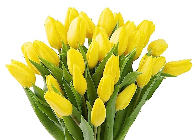 Kabloom Flowers - Mother'S Day Collection - Bouquet Of 10 Yellow Tulips Without Vase. Gift For Birthday, Sympathy, Anniversary,