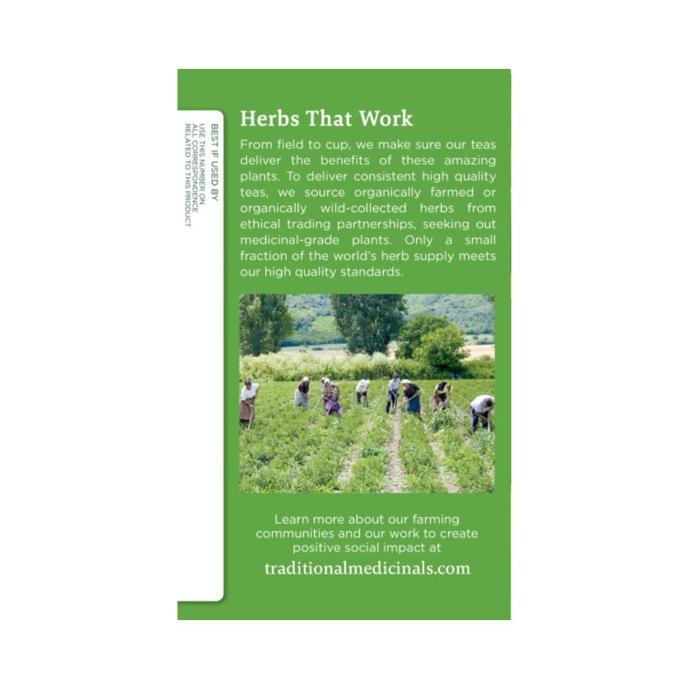 Traditional Medicinals Organic Green Tea Peppermint Herbal Tea, 48 Tea Bags, Model TMT239, Pack of 6