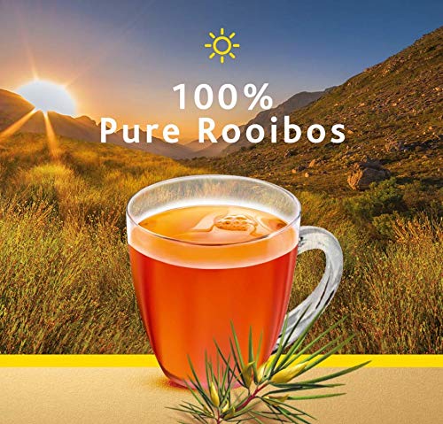 Freshpak Pure Rooibos Tea 80 Tagless Bags, Pure Rooibos And No Rooibos Infusion, New Packaging (Pack Of 3)