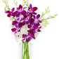 KaBloom Flowers - Mother's Day Collection - 10 Purple and 10 White Orchid with vase, Gift for Birthday, Sympathy, Anniversary, G
