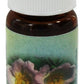 Flower Essence Services Essence, Wild Rose, 0.25 Ounce