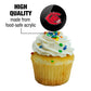 University Of Central Missouri Secondary Logo Cupcake Picks Toppers Decoration Set Of 6