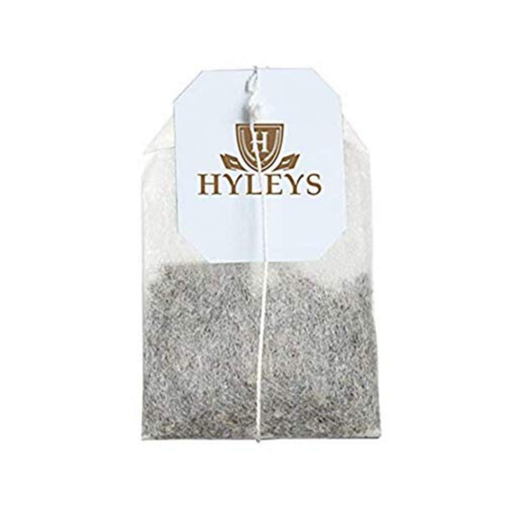 HYLEYS Coconut Tea With Dark Chocolate - 25 Count (Pack of 12) - GMO Free, Gluten Free, Dairy Free, Sugar Free, 100% Natural