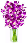 eflowerwholesale - Mother's Day Purple Orchid with Vase
