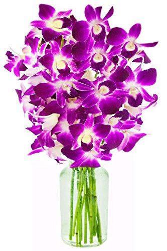 eflowerwholesale - Mother's Day Purple Orchid with Vase