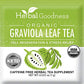 Herbal Goodness Graviola Leaf Soursop Tea - Organic Herbal Tea, Caffeine Free, 24 Count, Supports Calm Relaxation