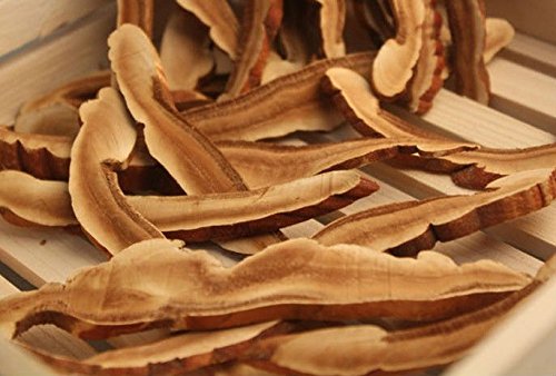 HerbsGreen Dried Red Reishi Mushroom Slices - 16 oz (1 lb) - Top Grade, Natural Herbal dietary product