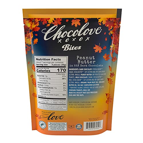CHOCOLOVE Dark Chocolate Peanut Butter Bites  7.05 OZ