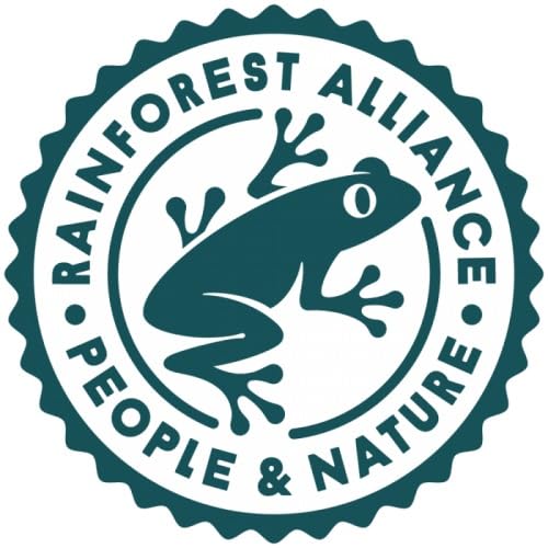 KaBloom Fresh Cut Purple Roses Bouquet - 6 Stems - Mother’s Day Collection - Model KaB-AZ-1098-NV