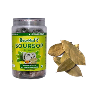 Bourneel'S Soursop Dry Leaves, 250 Loose Leaves | No Preservatives | Healthy Graviola Laxman Phal Dry Leaves | High Vitamin C |S
