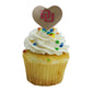 GRAPHICS & MORE Cupcake Picks Toppers Set of 6, Acrylic, University of Denver, Model CUPCAKE.HEART.CLCDEN.Z007933