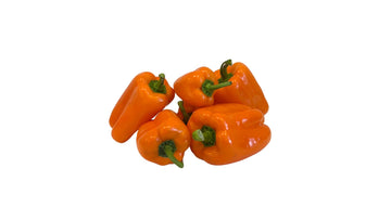 Fresh Tatayoyo Pepper By RawJoy Farm