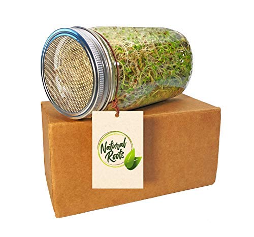 Variety Pack Sprouting Seeds Broccoli, Alfalfa, Radish, Mung Beans & Salad Mix For Sprouts And Microgreens. Non-Gmo. Pack Of 10