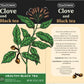 Premium Single Origin Clove Black Ceylon Tea Bags 25 Count Individually Wrapped Herbal, All Natural Full Bodied Aromatic Flavor