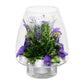FIORA LIVING FLOWER Fiora Flower Orchids | Purple | 8 Glass Vase | Model 70259 | Long Lasting, Allergy Free, Odor Resistant