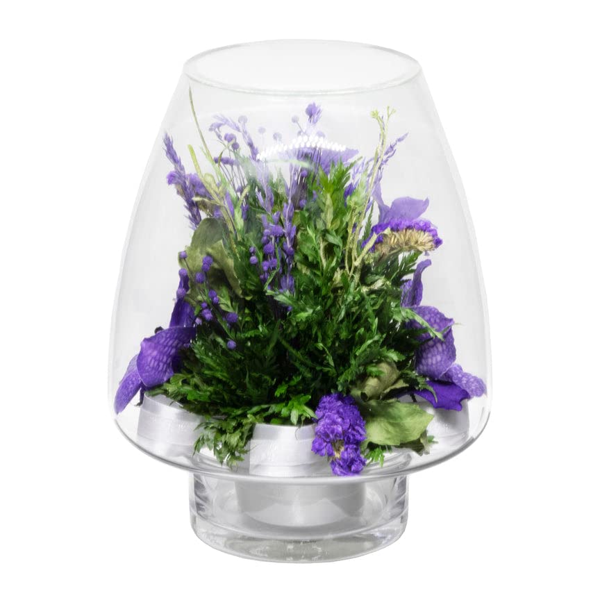FIORA LIVING FLOWER Fiora Flower Orchids | Purple | 8 Glass Vase | Model 70259 | Long Lasting, Allergy Free, Odor Resistant