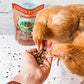 Little Farmer Products Chicken Fun-Doo Non-Gmo, Soy-Free Chicken Treat | Enhanced Poultry Meal Worm, Vegetable & Herb Mix (3 Lbs)