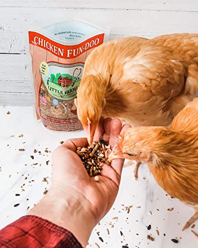 Little Farmer Products Chicken Fun-Doo Non-Gmo, Soy-Free Chicken Treat | Enhanced Poultry Meal Worm, Vegetable & Herb Mix (3 Lbs)