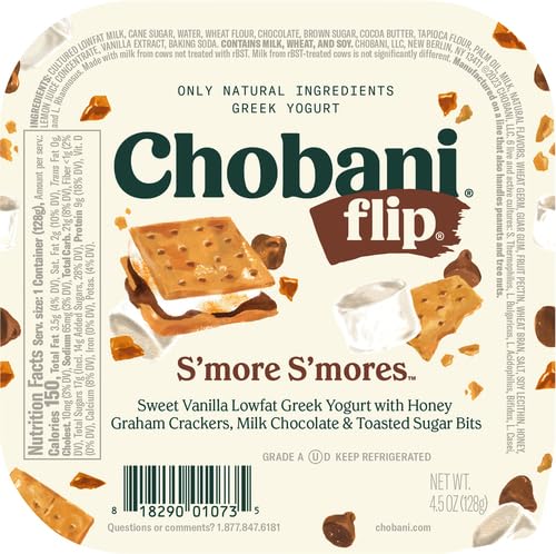 Chobani Flip Low-Fat Greek Yogurt Chocolate Smore Smores 4.5oz