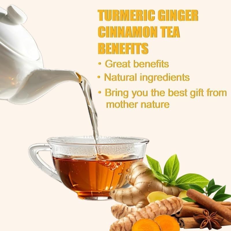 TIMESS Premium Turmeric Ginger Cinnamon Blend Tea Bags, Caffeine Free, 100% Natural, 120 Bags (2 Boxes)