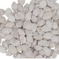 Secret Candy Shop Indian Salted Pumpkin Seeds 5/16Oz Bag (Pack Of 18)