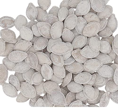 Secret Candy Shop Indian Salted Pumpkin Seeds 5/16Oz Bag (Pack Of 9)
