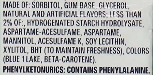 ORBIT Sweet Mint Sugar Free Back to School Chewing Gum, 3 Ct Packs (Pack of 2)