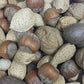 Mixed Nuts - No Brazils - In Shell - 25 Lb.