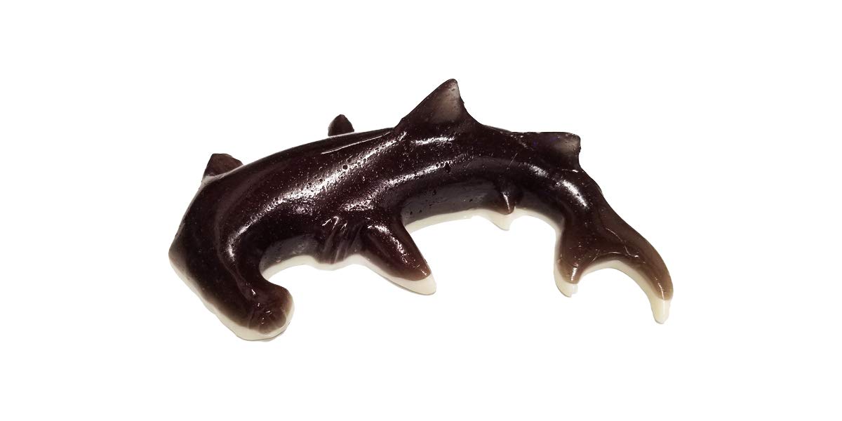 The Gummy Bear Guy Gummy Hammerhead Shark 24 Ounces Multicolor