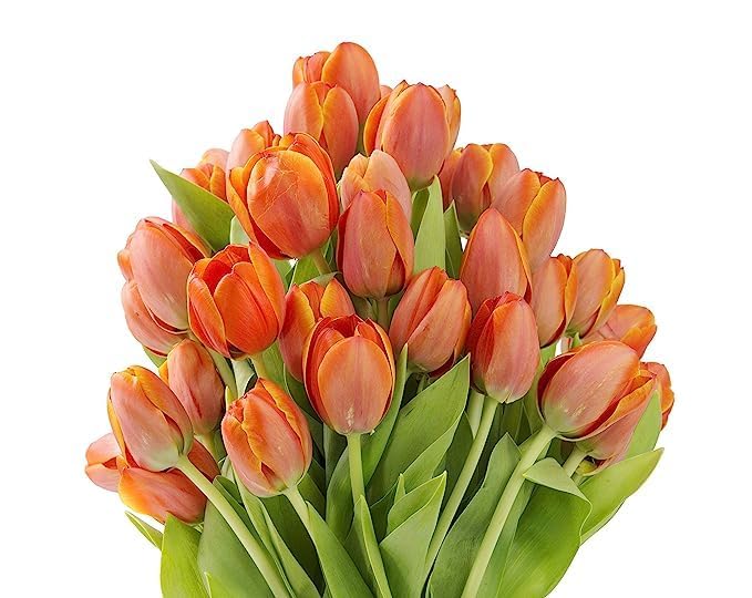 Kabloom Flowers - Bloomia Collection - 15 Orange Tulips Without Vase - Gift For Birthday, Sympathy, Anniversary, Get Well, Thank