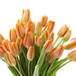 Kabloom Flowers -Valentine'S Day Collection - 20 Orange Tulips Without Vase, Gift For Birthday, Sympathy, Anniversary, Get Well,
