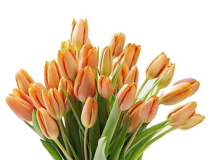 Kabloom Flowers -Valentine'S Day Collection - 20 Orange Tulips Without Vase, Gift For Birthday, Sympathy, Anniversary, Get Well,