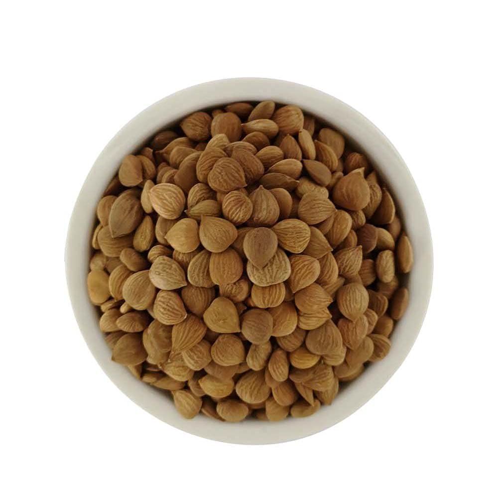Natural Raw Bitter Apricot Kernels 16oz  Organic USDA Certified Bitter Apricot Seeds 1LB