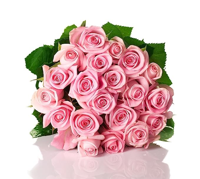 KaBloom Flowers - 50 Pink Roses - Gift for Birthday  Sympathy  Anniversary  Get Well  Thank You  Valentine  Mothers Day Fresh Flowers