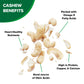 Hampton Farms - USA Grown Gourmet Nuts - Salted Super Large Whole Cashews - 10 oz. Canisters - 2 Pack