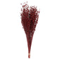 Vickerman Natural Botanicals 20-22" Red Dried Flax Linum, 4 Oz. Bunch.