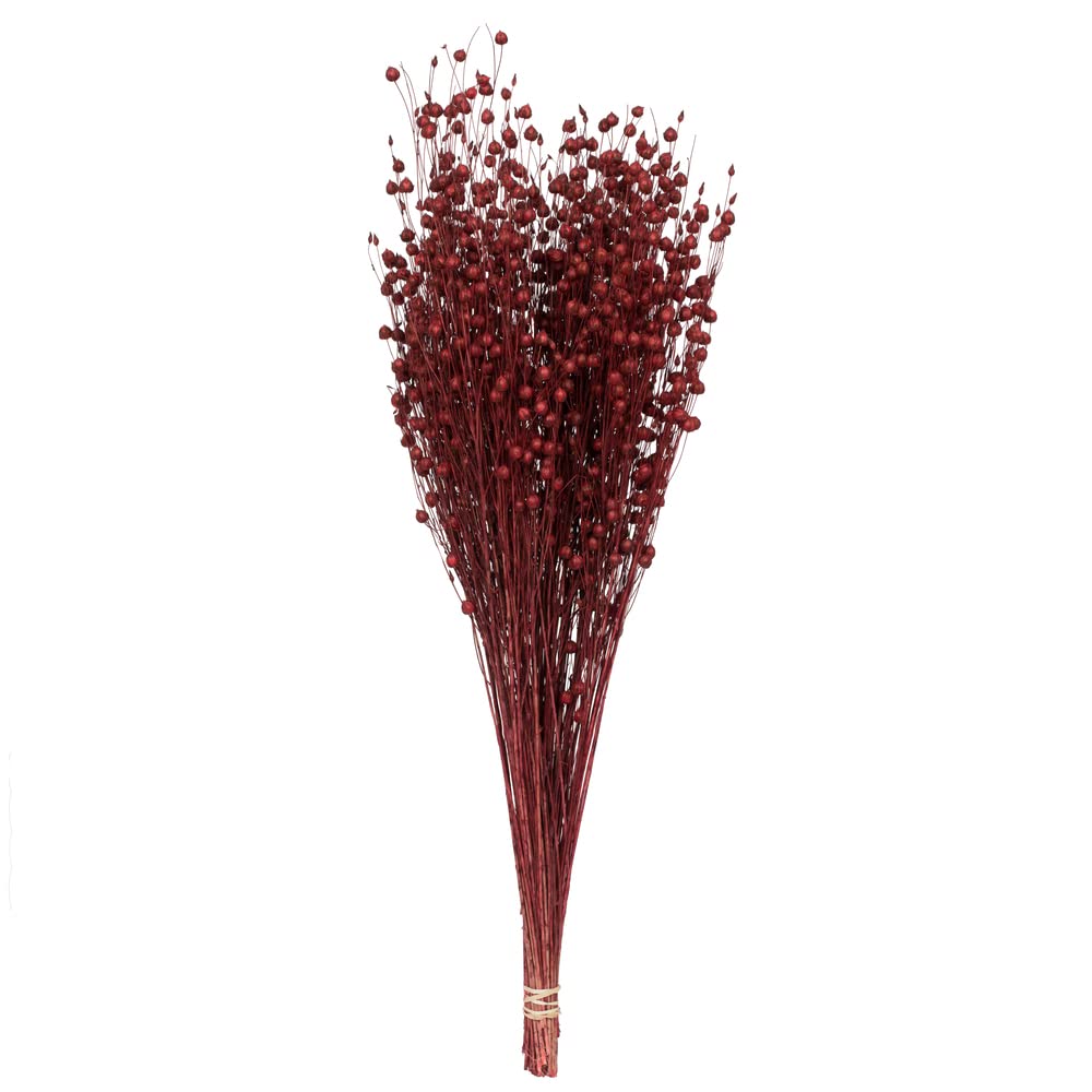 Vickerman Natural Botanicals 20-22" Red Dried Flax Linum, 4 Oz. Bunch.