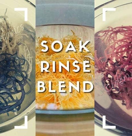 Sea Moss  Makes 32Oz Of Gel  Rainbow  Raw + Non Gmo  Sundried  Mineral Rich  Wildcrafted