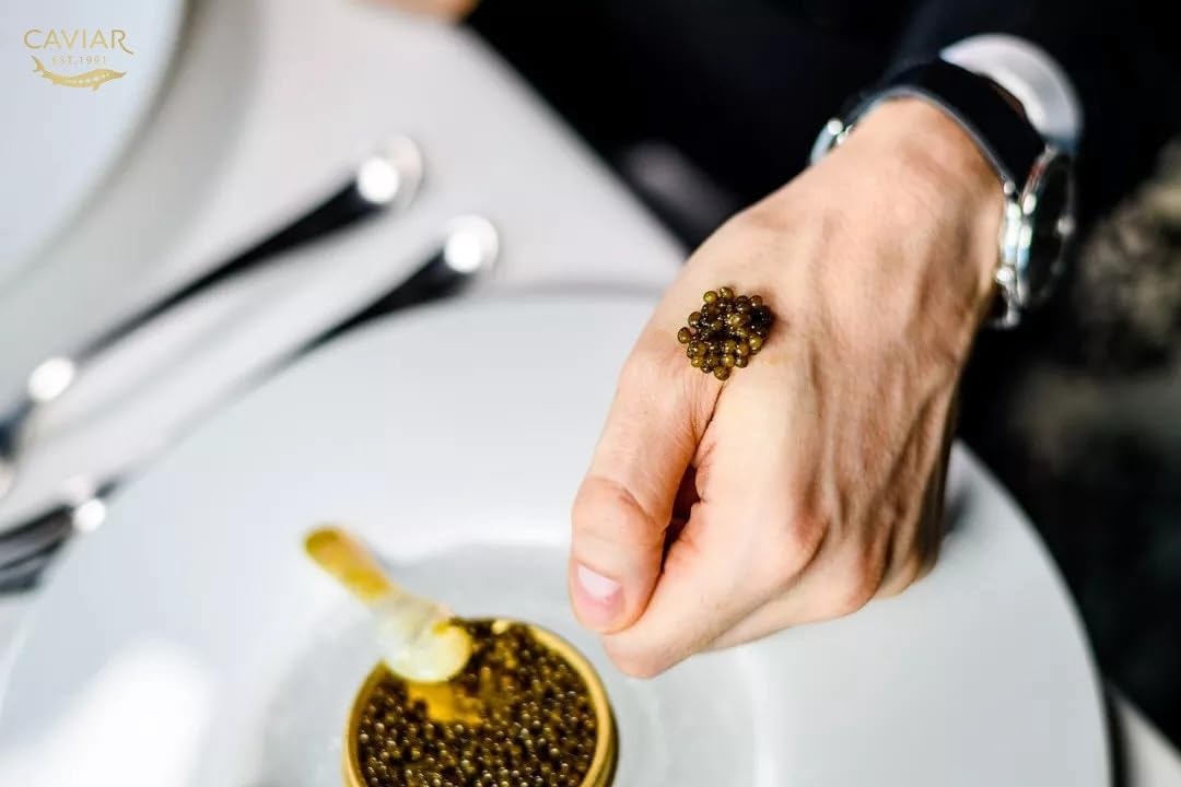 Majestic Collection - Premium Kaluga Sturgeon Black Caviar - 1.1 Oz / 30 G In Metal Jar - Kaluga Black Caviar With Classical Mal