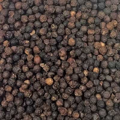 Indus Organics Tellicherry Black Peppercorns, 8 Oz Jar, Premium Grade, High Purity, Freshly Packed