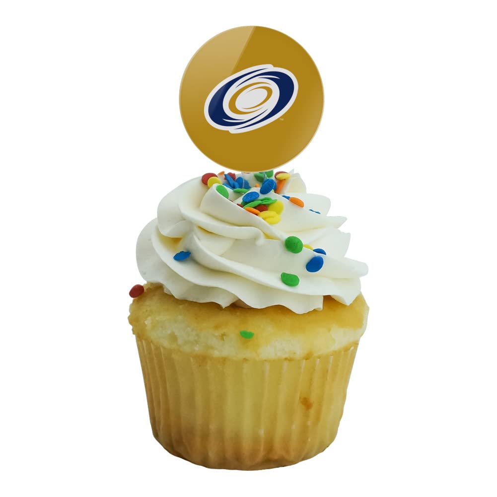 Georgia Southwestern State University Secondary Logo Cupcake Picks Toppers Decoration Set Of 6
