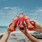 Pog Juice 12Oz 6-Pack Case
