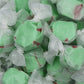 Gourmet Soft and chewy Salt Water Taffy Candies - Individually Wrapped - Bulk bags (Pistachio, 5 Pound (Pack of 1))