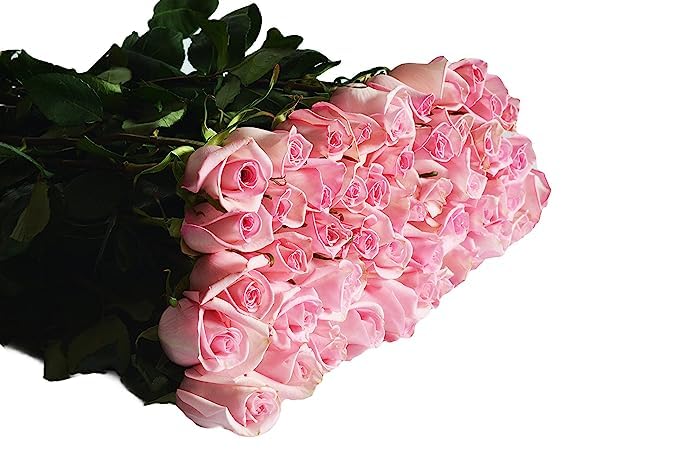 KaBloom Flowers - 100 Pink Roses - Gift for Birthday  Sympathy  Anniversary  Get Well  Thank You  Valentine  Mothers Day Fresh Flowers