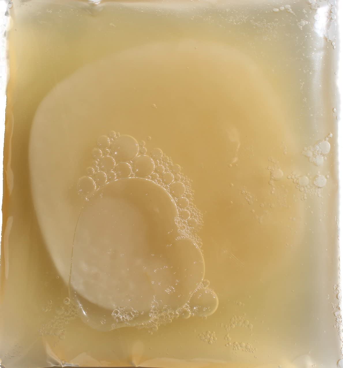 Scoby Kombucha Fba_Lepazc5747 1 X Organic Kombucha Scoby-Live Culture