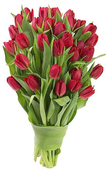 KaBloom Flowers -Valentine's Day Collection - 30 Red Tulips, Gift for Birthday, Sympathy, Anniversary, Get Well, Thank You, Vale